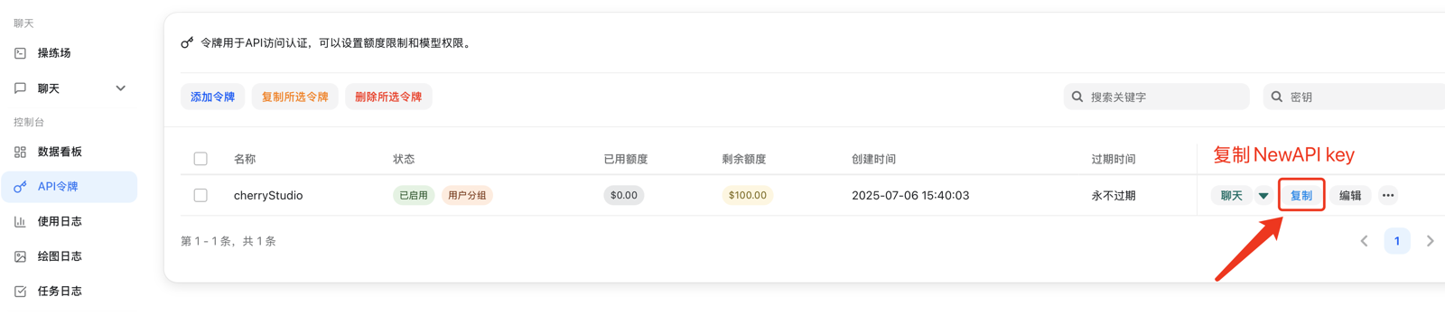 Copying an API key from the Token Management page
