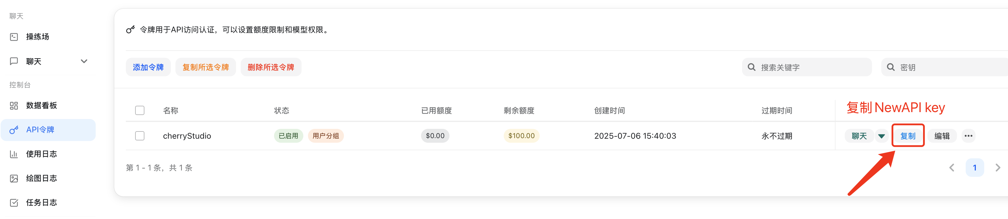 在令牌管理页复制 API Key