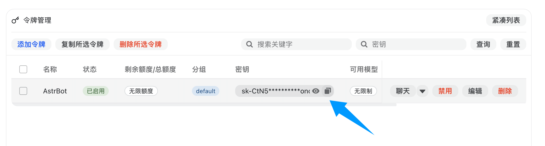 复制生成的 API Key
