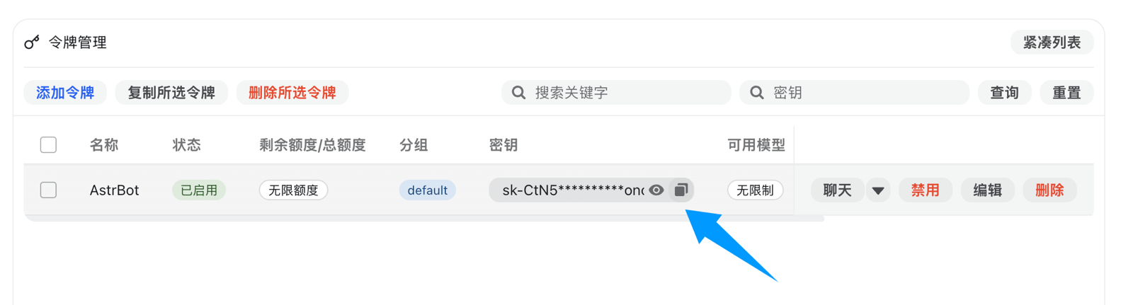 Copying the generated API key